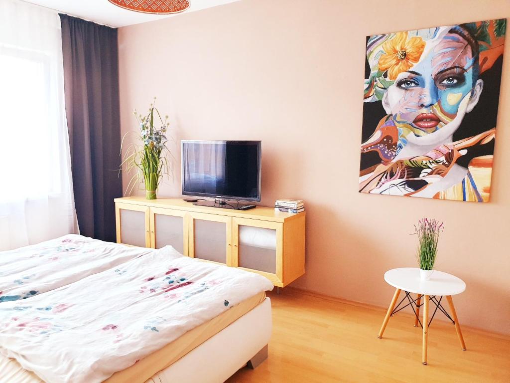 TV a/nebo společenská místnost v ubytování Apartmán Terminál, self check-in 24 h, free parking