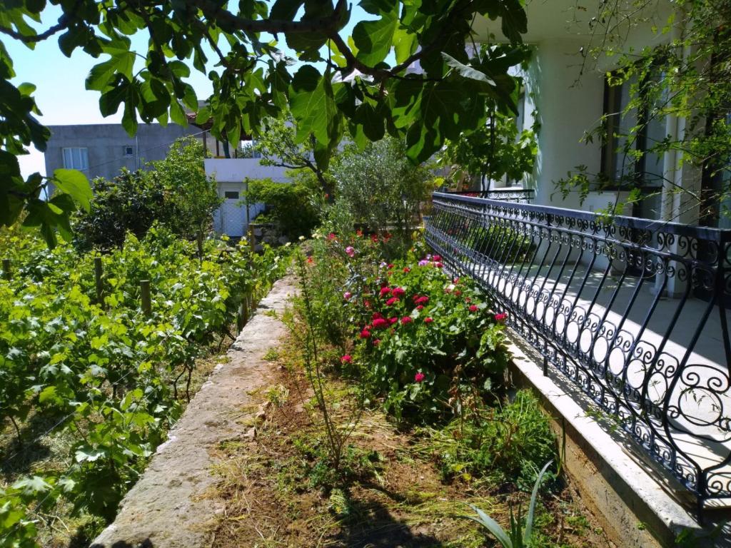 Zahrada ubytování Mimas Garden Apartments