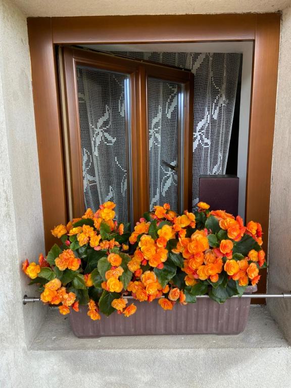 Fotografie z fotogalerie ubytování Statek na samotě v destinaci České Meziříčí