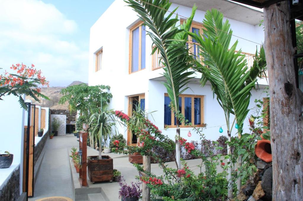 einen Innenhof eines Hauses mit Pflanzen und Blumen in der Unterkunft Pipi's Guest House in São Filipe