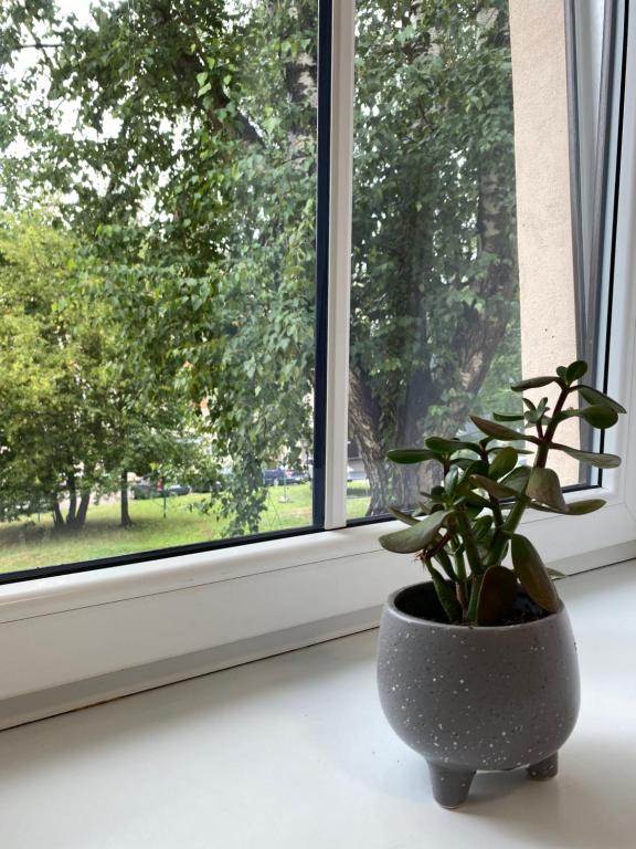 Zahrada ubytování Neiroprakse Mini Hotel