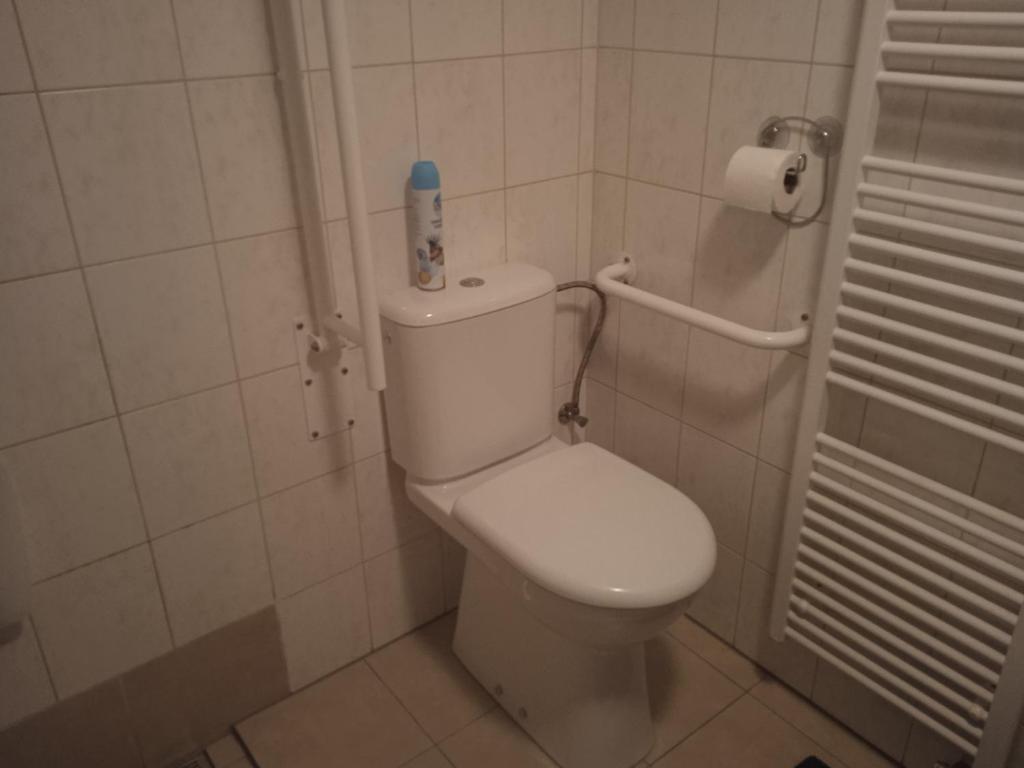 Koupelna v ubytování Apartmán LauMar 2