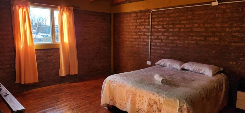 Antartida Apart Zapala