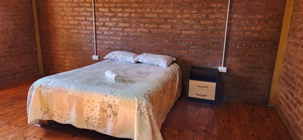 Antartida Apart Zapala