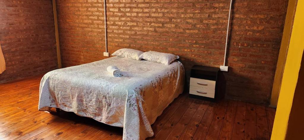 Antartida Apart Zapala