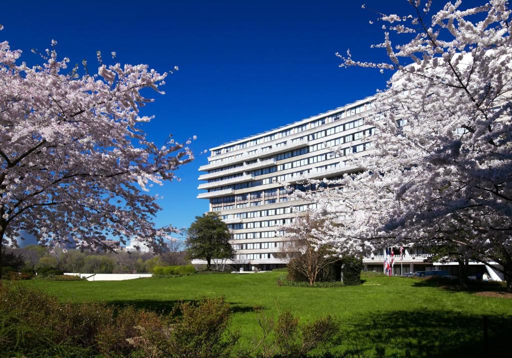 Cherry blossom season at The Watergate Hotel Georgetown.