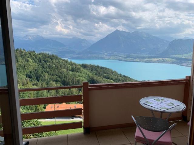 Příroda nedaleko hotelu