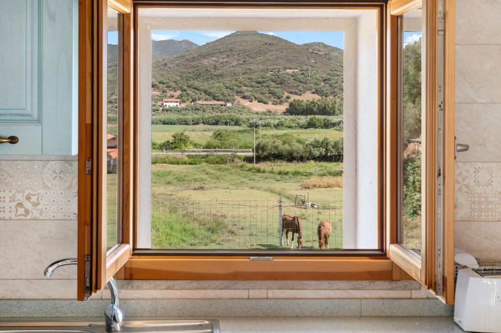 uma janela de casa de banho com vista para um cavalo num campo em Casa Blanca em Buggerru