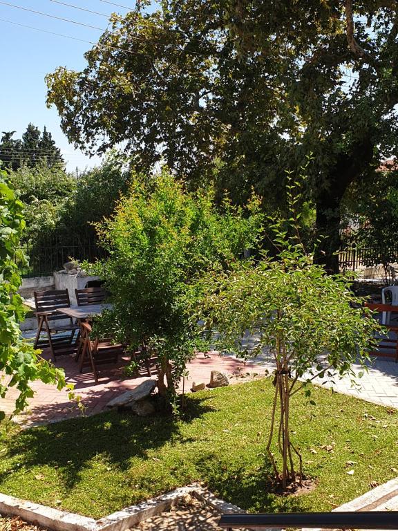 A garden outside VILLA ARHONTIKO