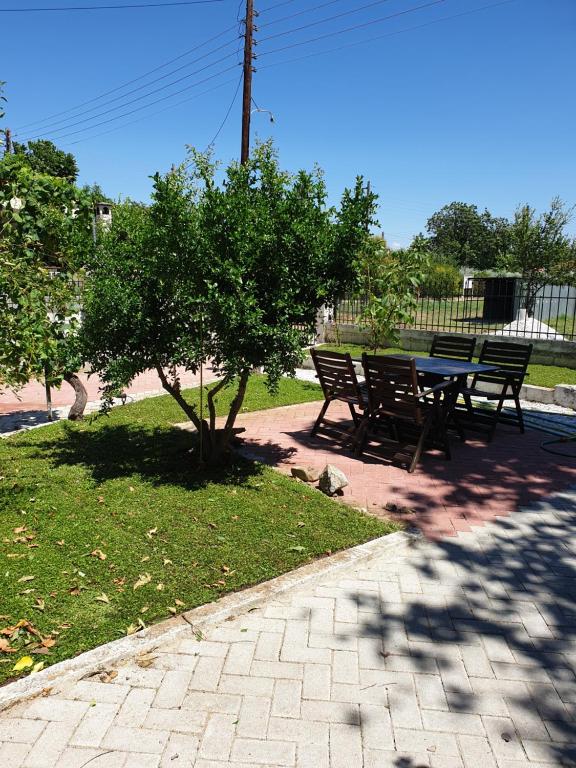 A garden outside VILLA ARHONTIKO