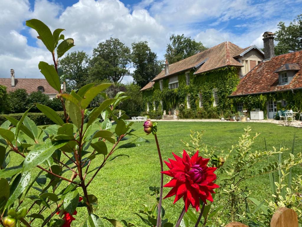 Zahrada ubytování L’Orangerie de Malpas