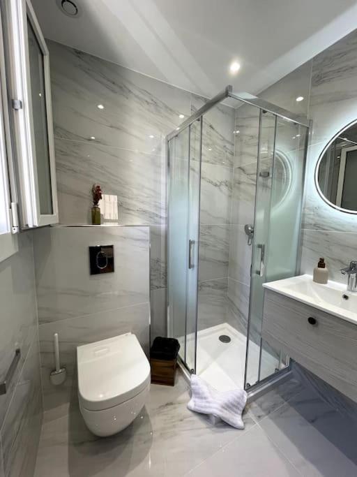 une salle de bain avec une douche, des toilettes et un lavabo dans l'établissement Charmant Studio climatisé avec parking, au cœur de pietranera, plage a 500m, Bastia a 2km, à Palagaccio
