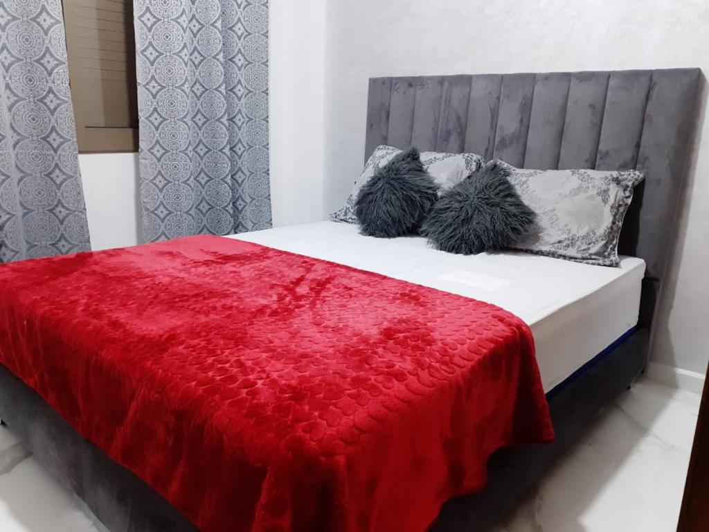een bed met een rode deken en 2 kussens bij Private, Air Conditionner and Free Parking in Fès