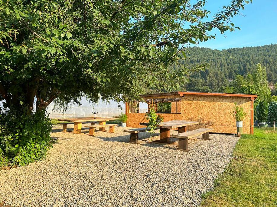 Příroda nedaleko luxury tent