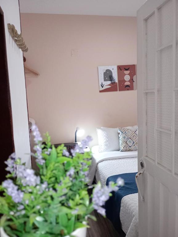Postel nebo postele na pokoji v ubytování Hotel Maceo 55 - Colonial Inn
