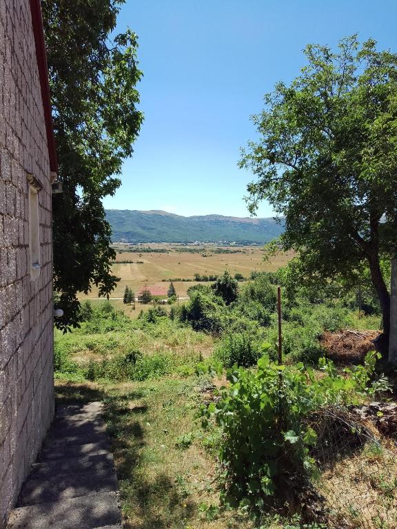 a brick building next to a field with a tree at Barun apartman in Lusnić