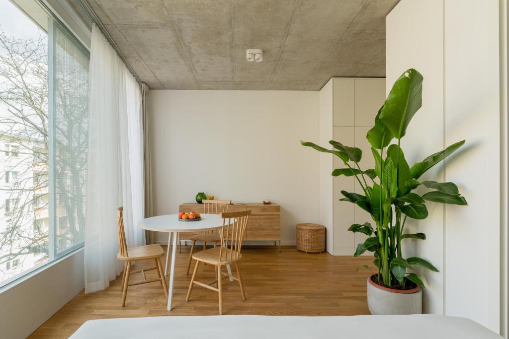 Carlotta Apartments - 3