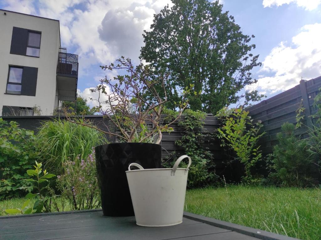 Vonkajšia záhrada v ubytovaní Garden Apartment Self Check-in - Bezkluczowy Dostęp w 10 minut o każdej porze