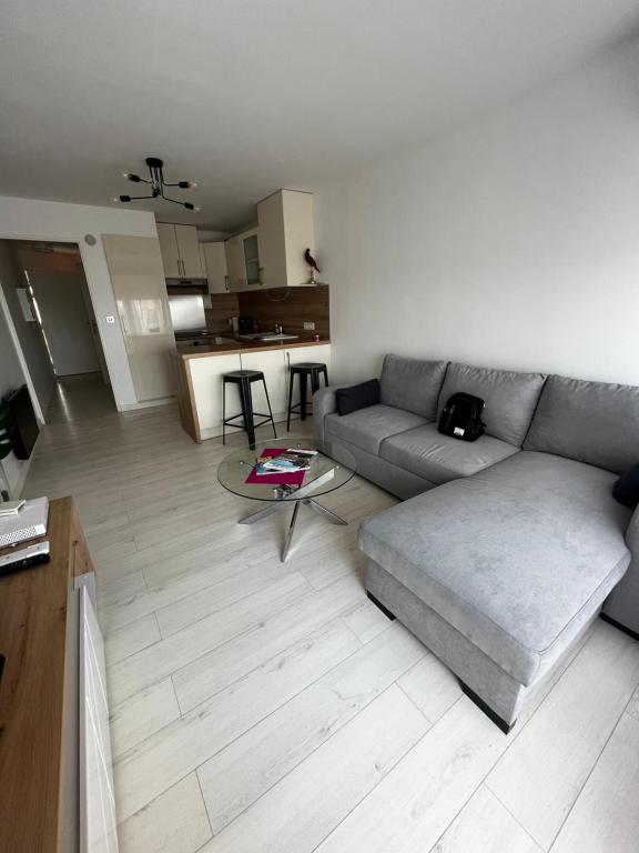 uma sala de estar com um sofá e uma mesa em RAINIE APPART em Palavas-les-Flots