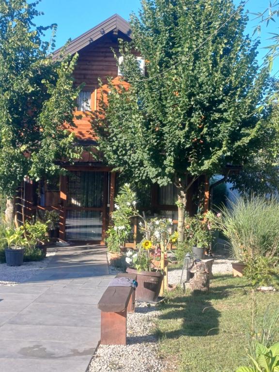 una casa con un árbol delante de ella en Holiday Home Edi, en Bihać
