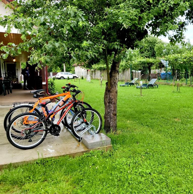 Zahrada ubytování Serenity Garden Villa