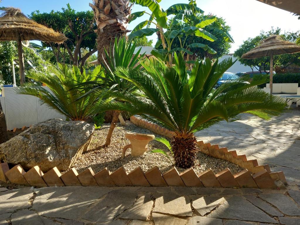 Ogród w obiekcie Appartamenti Tropea Gargano