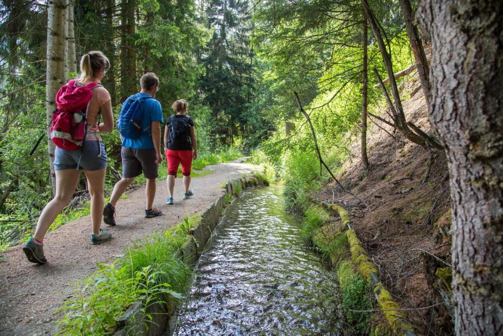 La Majorie de Nendaz - Resim 45