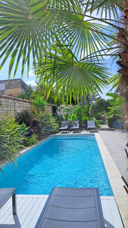 - une piscine bordée de chaises et de palmiers dans l'établissement L'Angély - Chambres d'Hôtes, à Niort