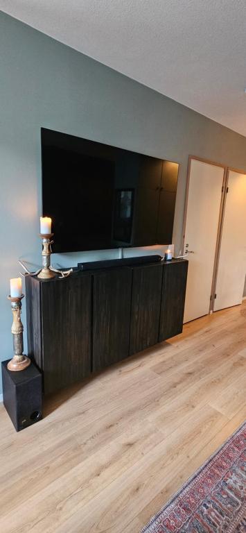 TV a/nebo společenská místnost v ubytování Apartment Sagittarius Arctic Circle