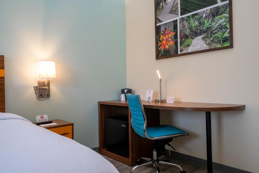 SPOT X Hotel Orlando Intl Dr by The Red Collection photo