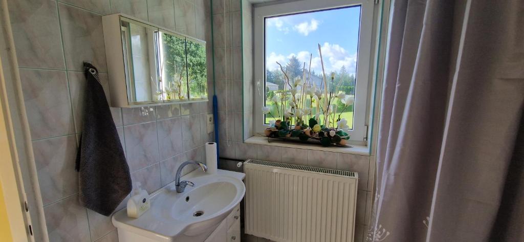 a bathroom with a sink and a toilet and a window at Domek Karłowo u Eli in Sierakowice