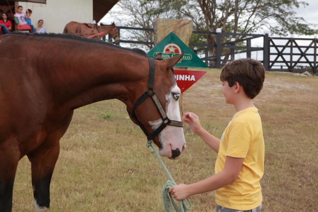 a young boy is petting a brown horse at Gravatá - Flat Fazenda Monte Castelo in Sairé