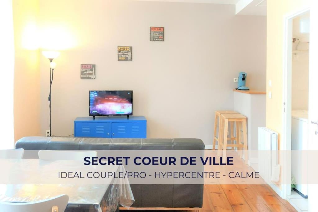 uma sala de estar com um sofá e uma televisão em Secret de cœur de ville - Pau Hypercentre em Pau