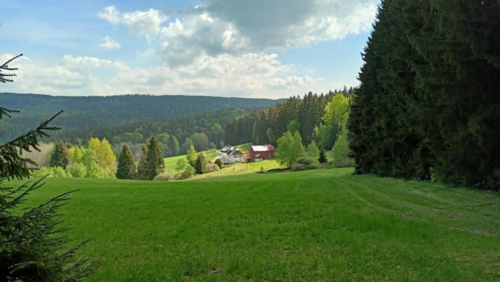 un gran campo verde con una casa a lo lejos en Haus Waldschänke, en Erlbach