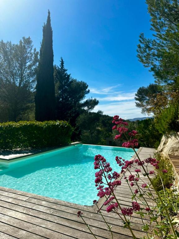 a swimming pool in a garden with flowers at B&B Les Têtes de Mules - Adults Only in Gémenos