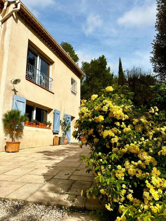 a building with yellow flowers in front of it at B&B Les Têtes de Mules - Adults Only in Gémenos