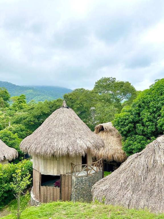un gruppo di capanne con tetti e alberi in erba di ECOCABAÑAS DIOSA JAGUAR tayrona a Santa Marta