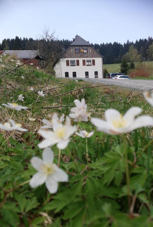 Fotografie z fotogalerie ubytování Haus Waldschänke v destinaci Erlbach