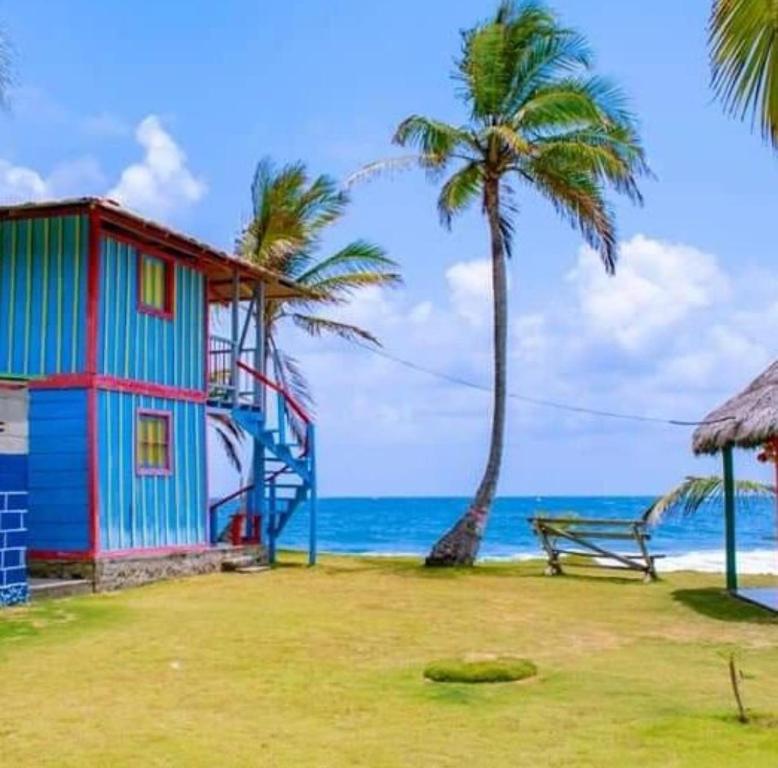 una casa en la playa con un banco y palmeras en HOSTAL CRUZ DEL MAR, en Capurganá