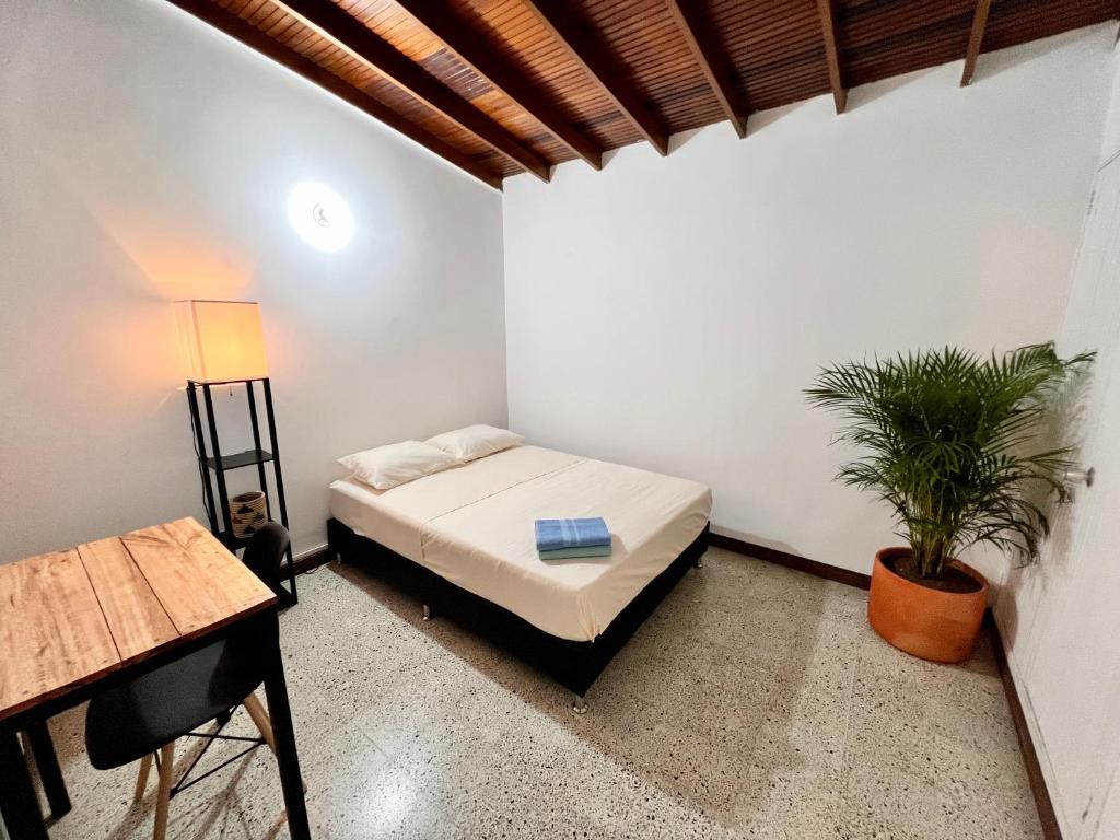 um quarto com uma cama e um vaso de plantas em Sereni Laureles Hotel Cafe em Medellín