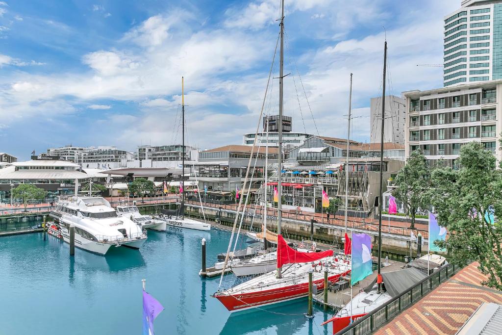 a group of boats are docked in a harbor at Waterfront Wonder + Cp! in Auckland