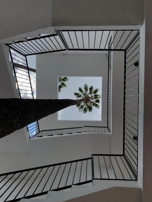 Fotografie z fotogalerie ubytování Clandestino Hotel Pila Seca v destinaci San Miguel de Allende