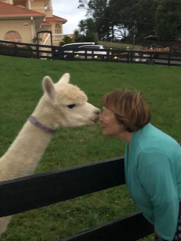 Rua Resort - Resim 25