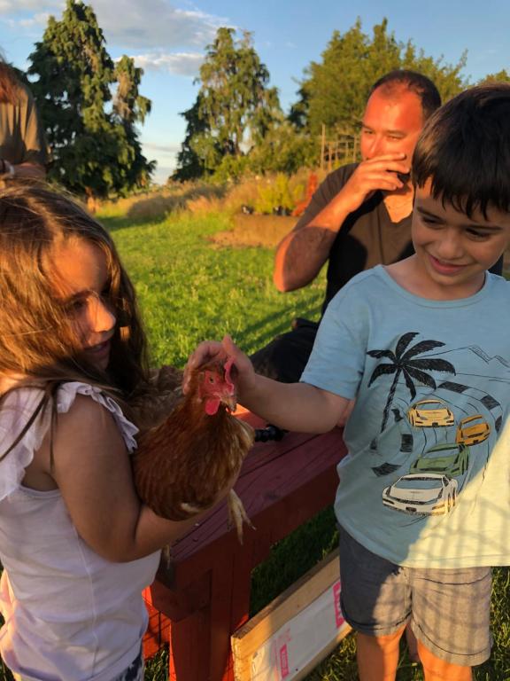 Rua Resort - Resim 29