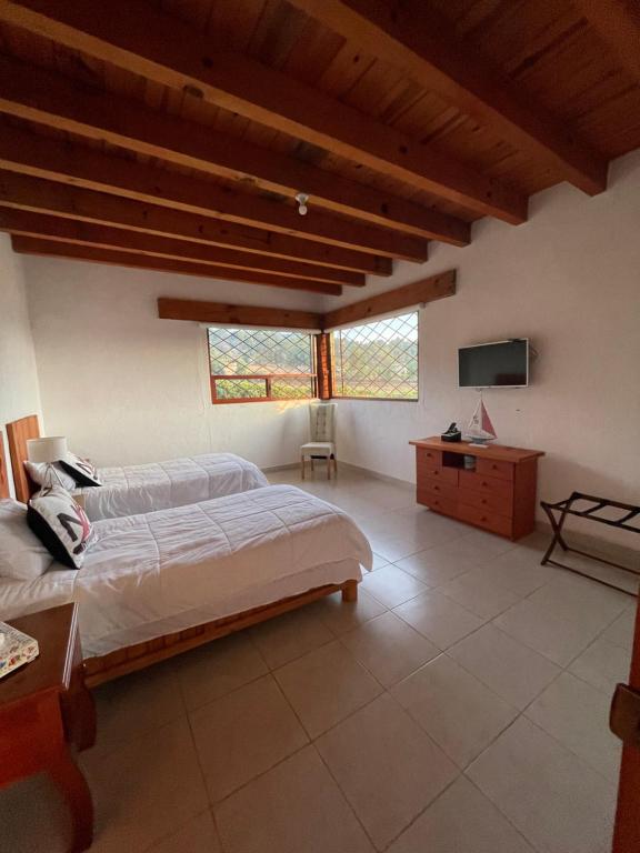 a bedroom with a bed and a desk and a television at La casa de las luciérnagas in Godínez