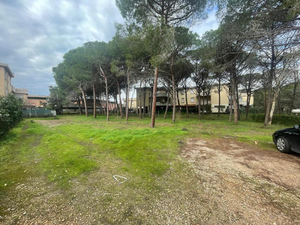 A garden outside La casa delle janas