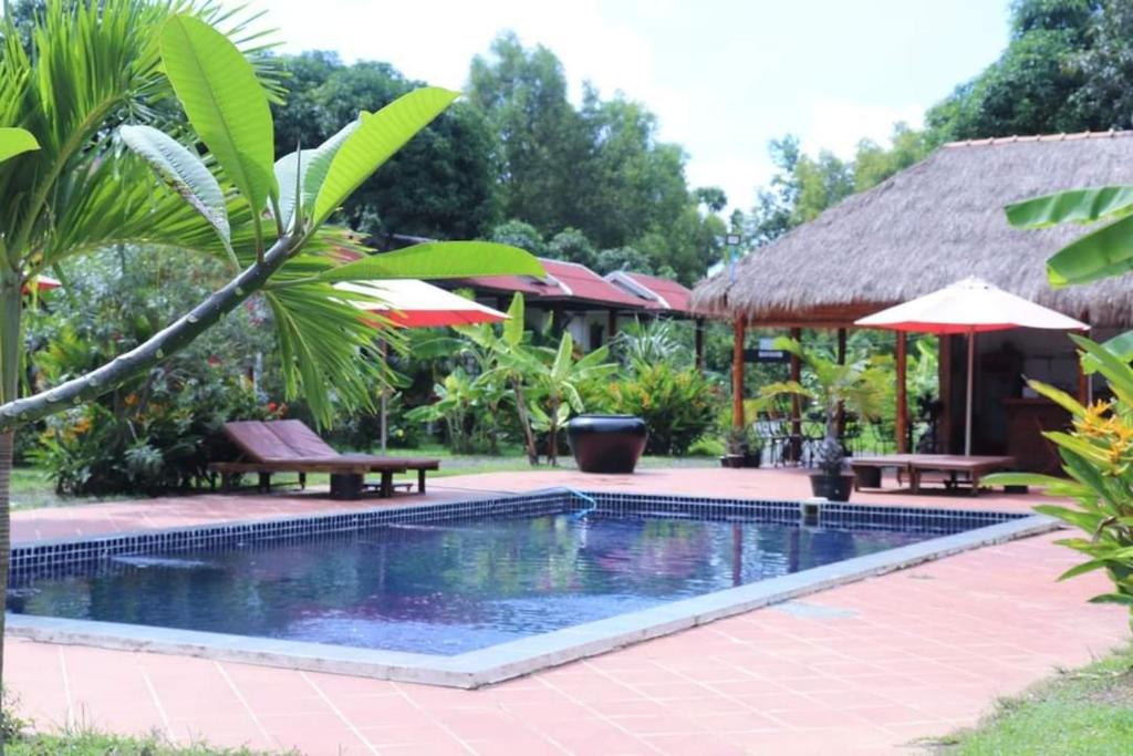a pool in a resort with benches and umbrellas at Gecko Village in Kampot