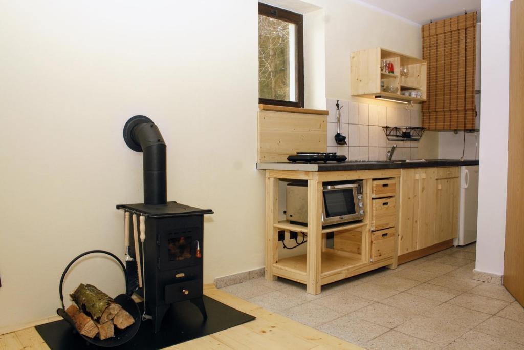 Köök või kööginurk majutusasutuses Glamping Hnačov