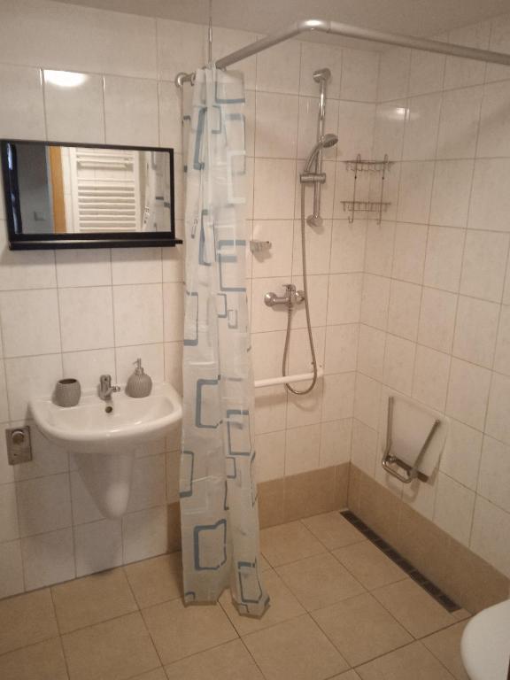 Koupelna v ubytování Apartmán LauMar 2