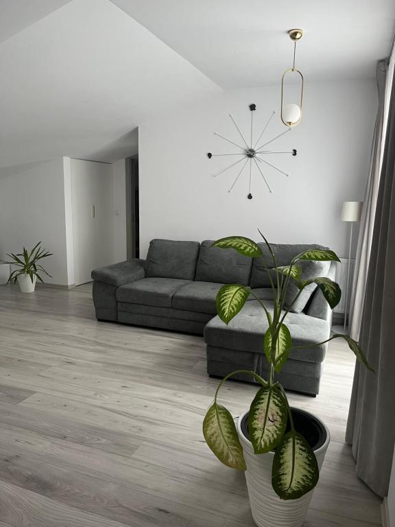 View Apartment Iasi - Housity